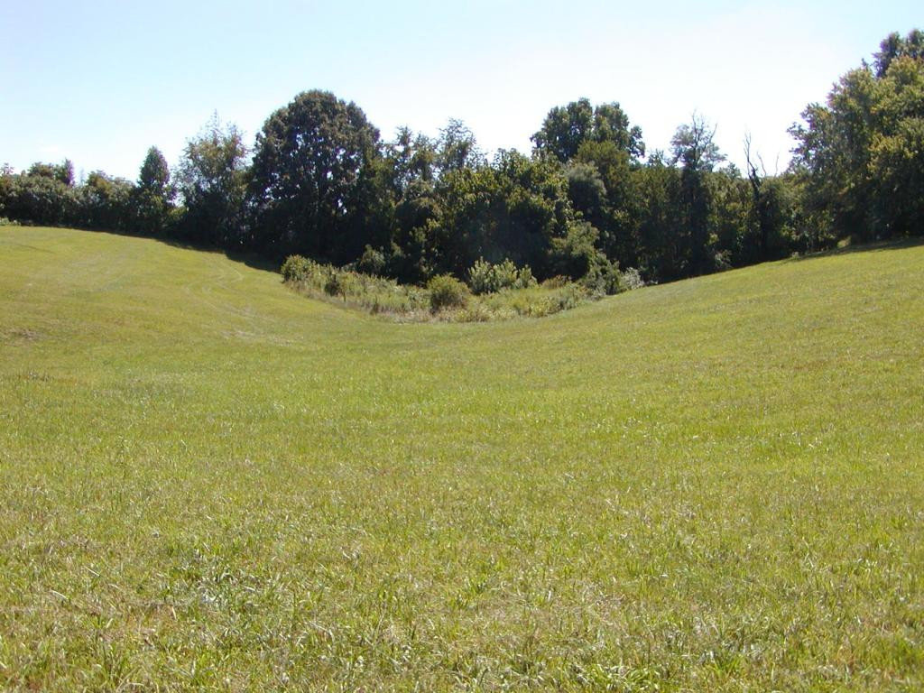 ---- Old Embreeville Road Jonesborough, TN 37659 - Photo 18 of 24 Photo 18