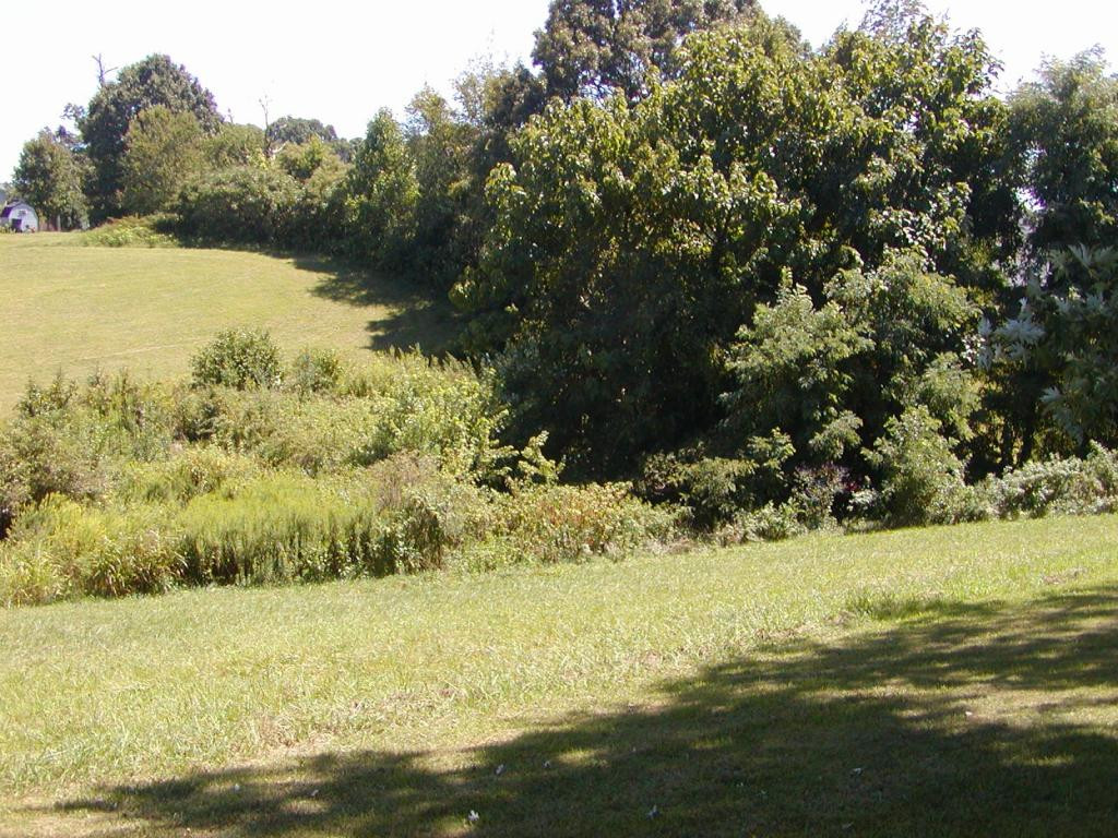 ---- Old Embreeville Road Jonesborough, TN 37659 - Photo 6 of 24 Photo 6