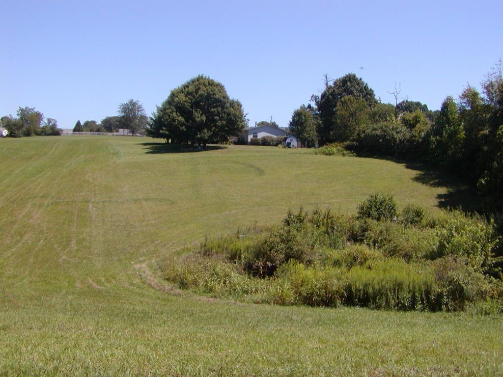 ---- Old Embreeville Road Jonesborough, TN 37659 - Photo 7 of 24 Photo 7