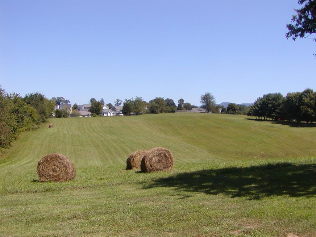 ---- Old Embreeville Road Jonesborough, TN 37659 - Photo 10 of 24 Photo 10