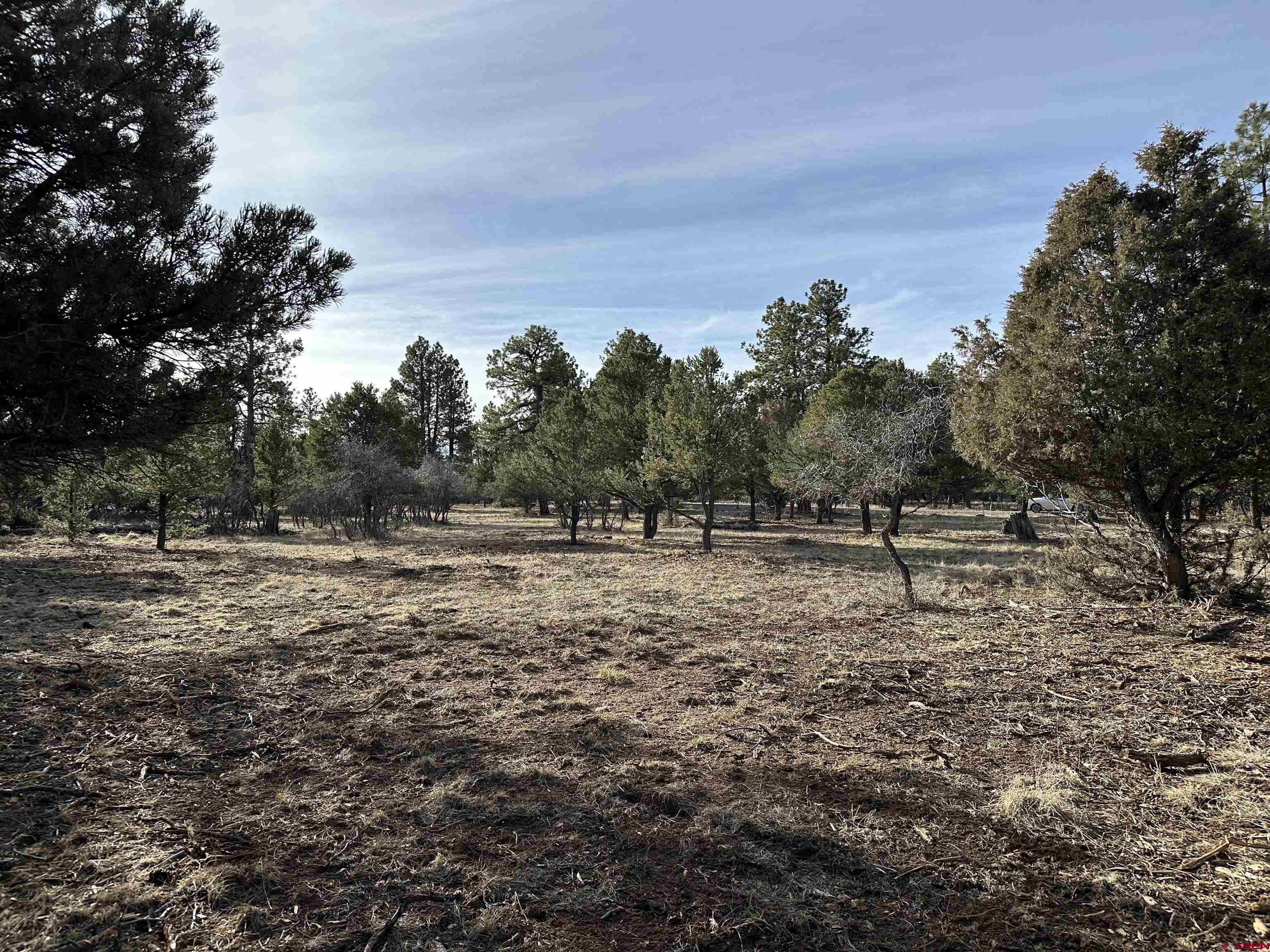 120 Puma Lane Ridgway, CO 81432 - Photo 5 of 9