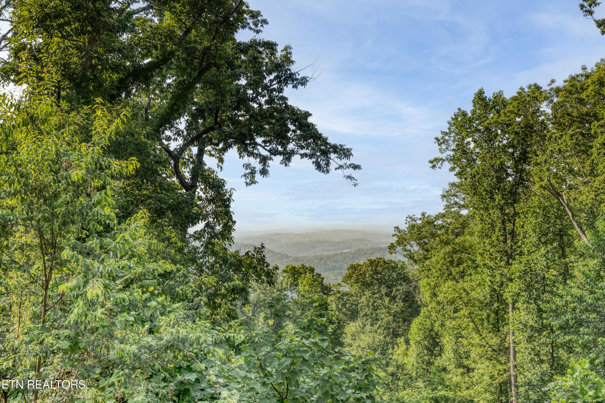 809 Pinecrest Way Sevierville, TN 37862 - Photo 47 of 60 a view of a tree in a garden