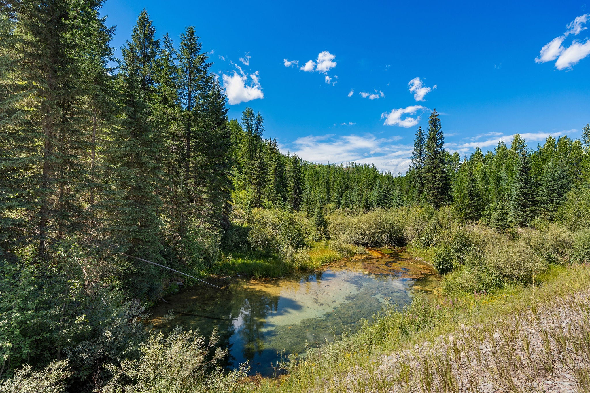 11680 North Fork Road Polebridge, MT 59928 - Photo 28 of 37 Gallery Image 28