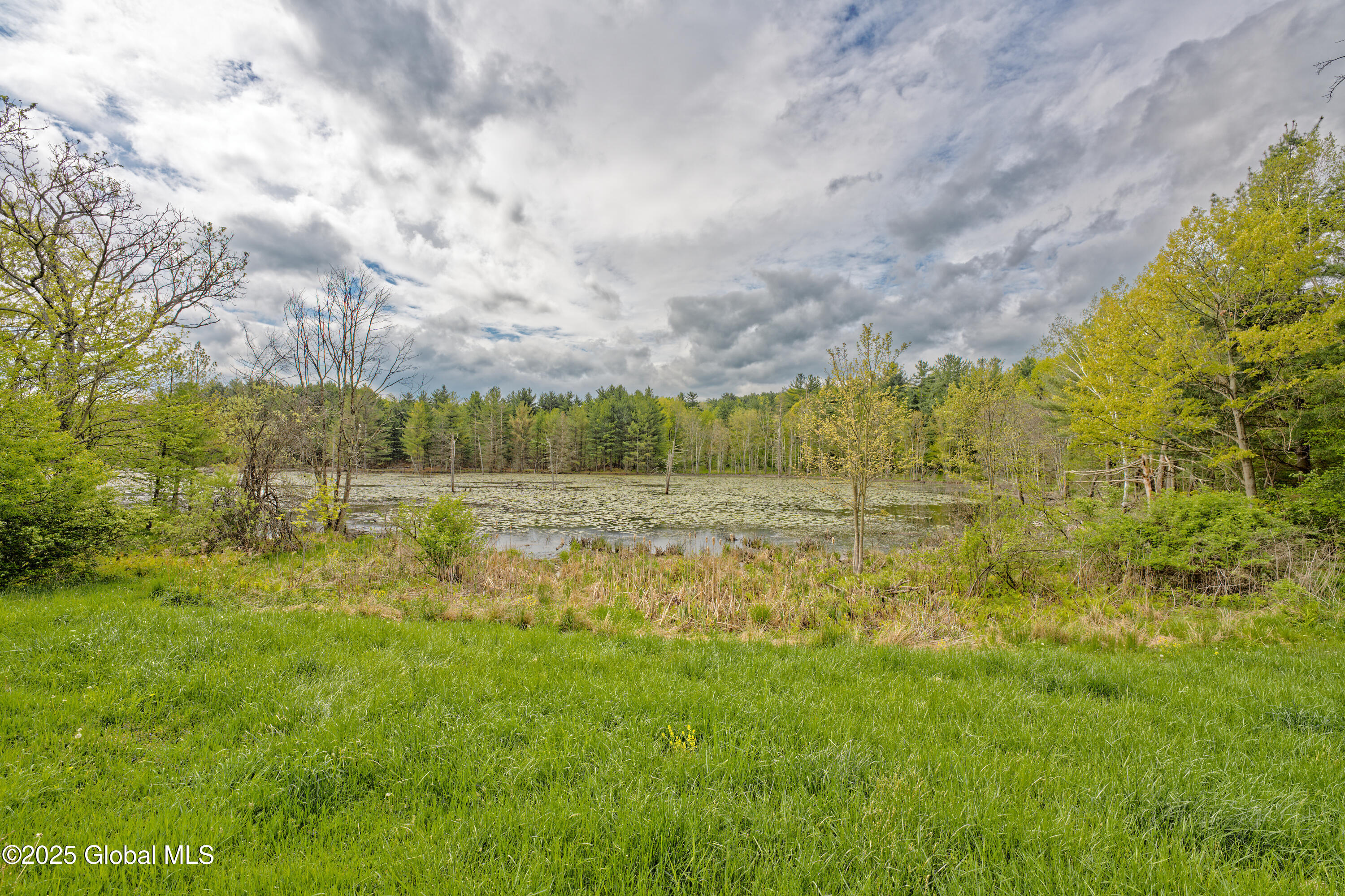 53 Baertschi Road Hoosick Falls, NY 12090 - Photo 49 of 54 Yard 9