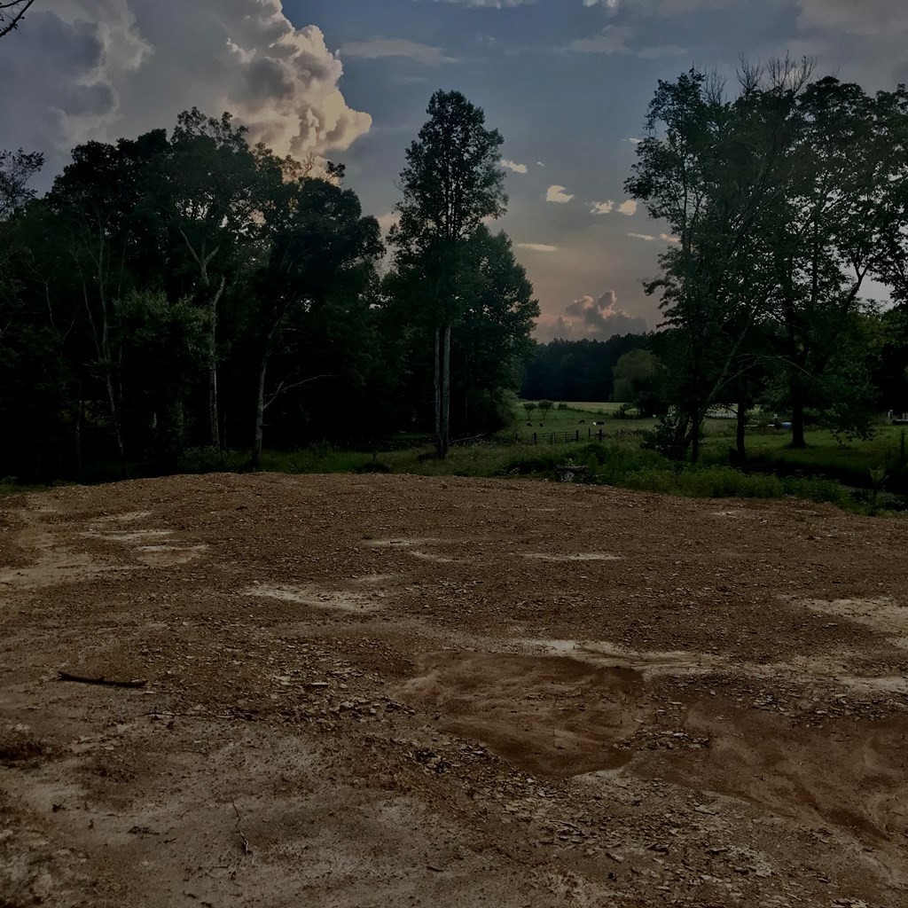 979 Shaver Road Dayton, TN 37321 - Photo 11 of 15
