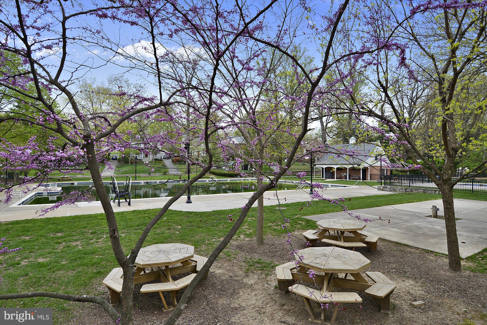606 Hatherleigh Road Baltimore, MD 21212 - Photo 58 of 63 Stoneleigh Swimming Pool