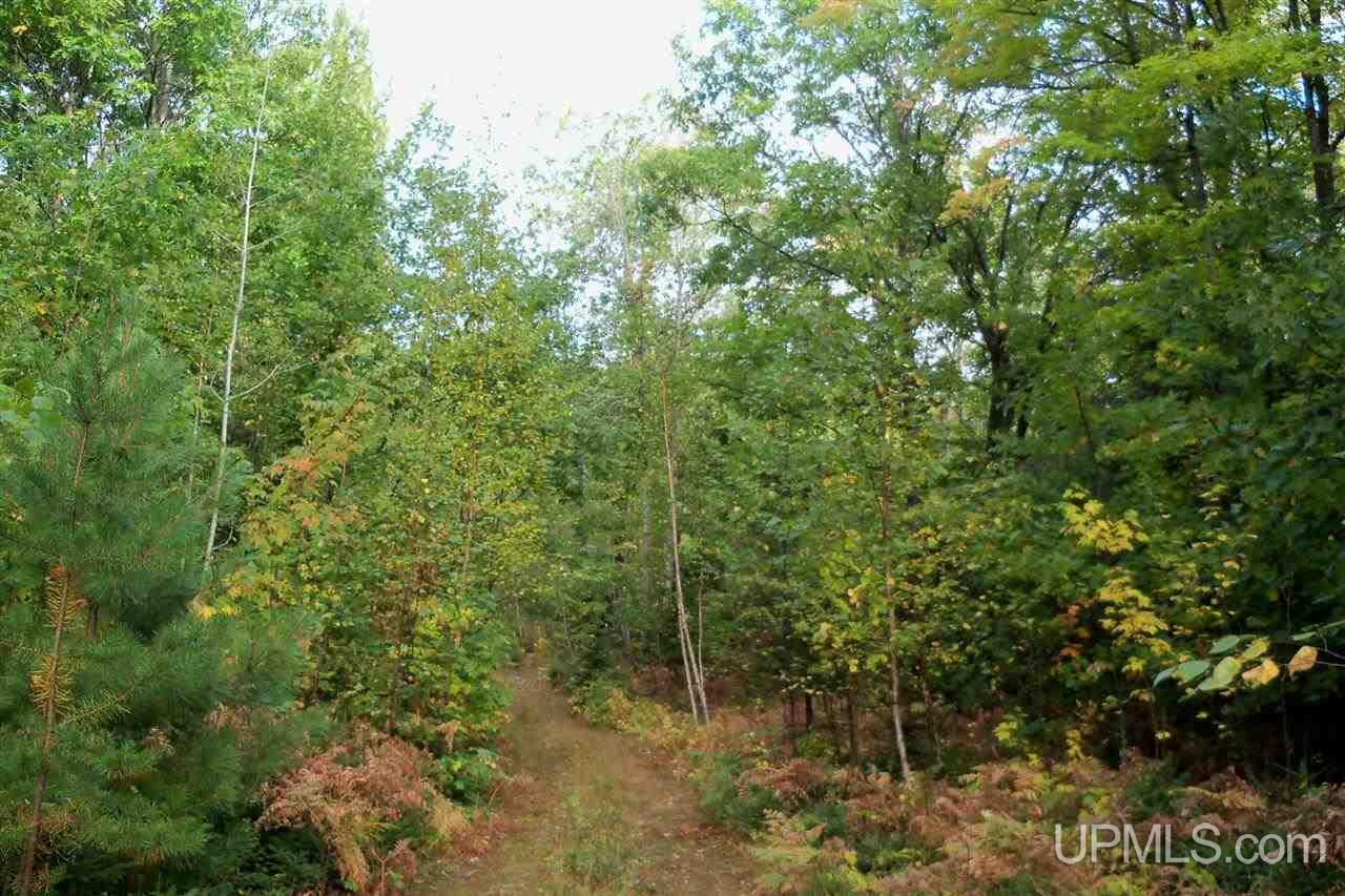 26 Co Road Negaunee, MI 49866 - Photo 6 of 31