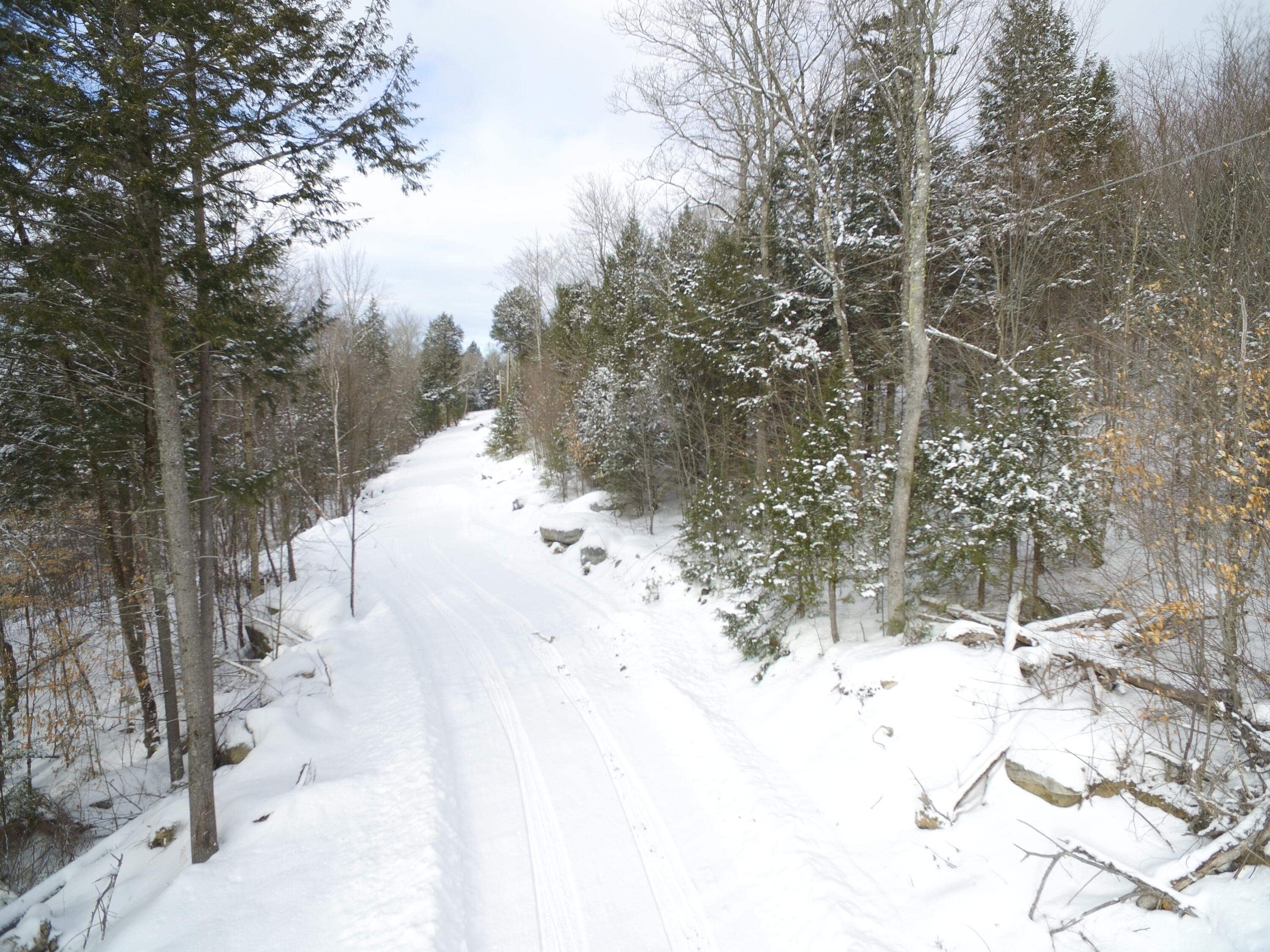 37.41 Acres Houston Road Lincoln, ME 04457 - Photo 15 of 29 DJI_0126