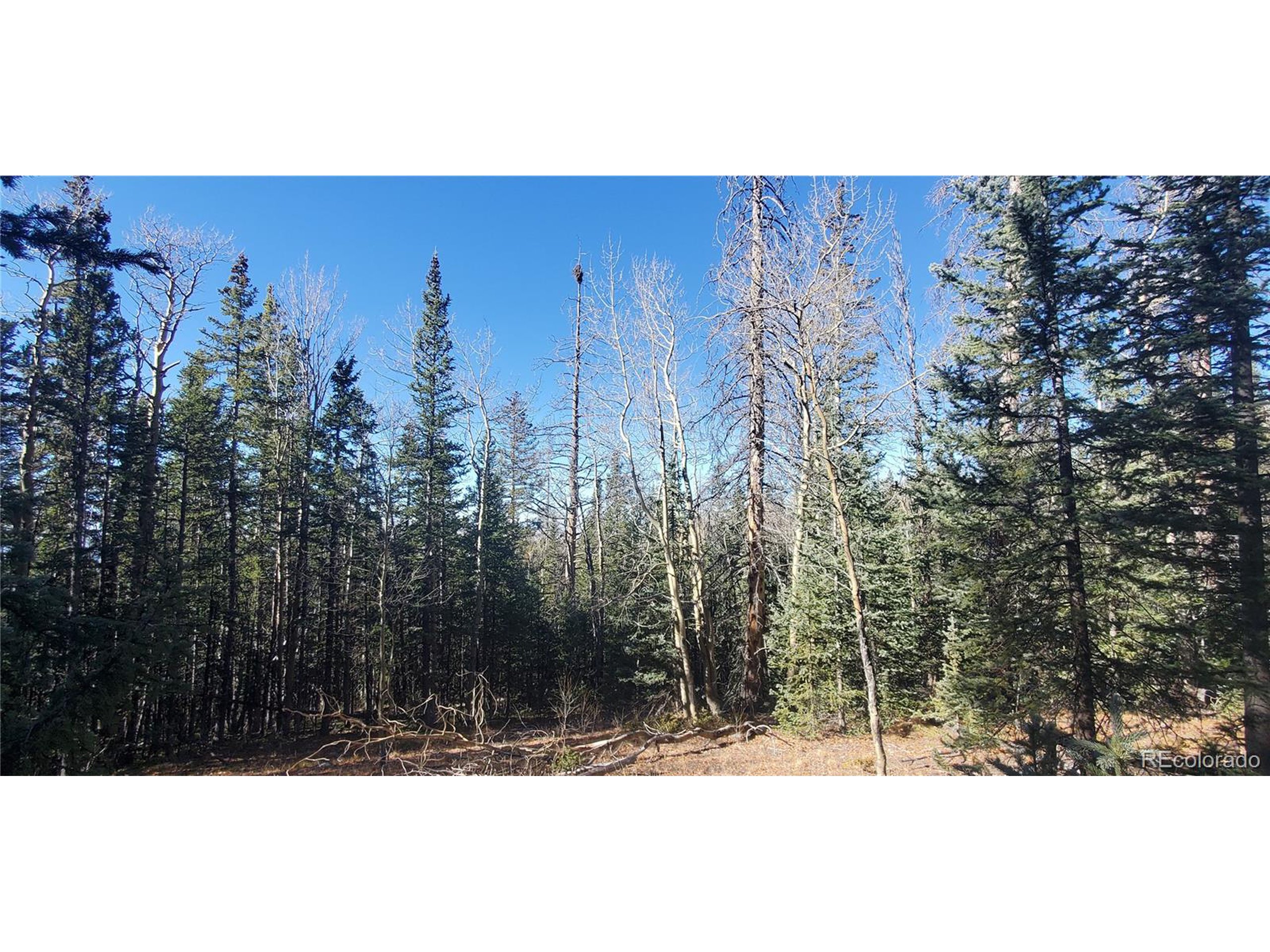 a view of a wooden fence