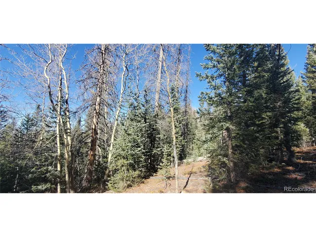 a view of a wall with plants and a bench
