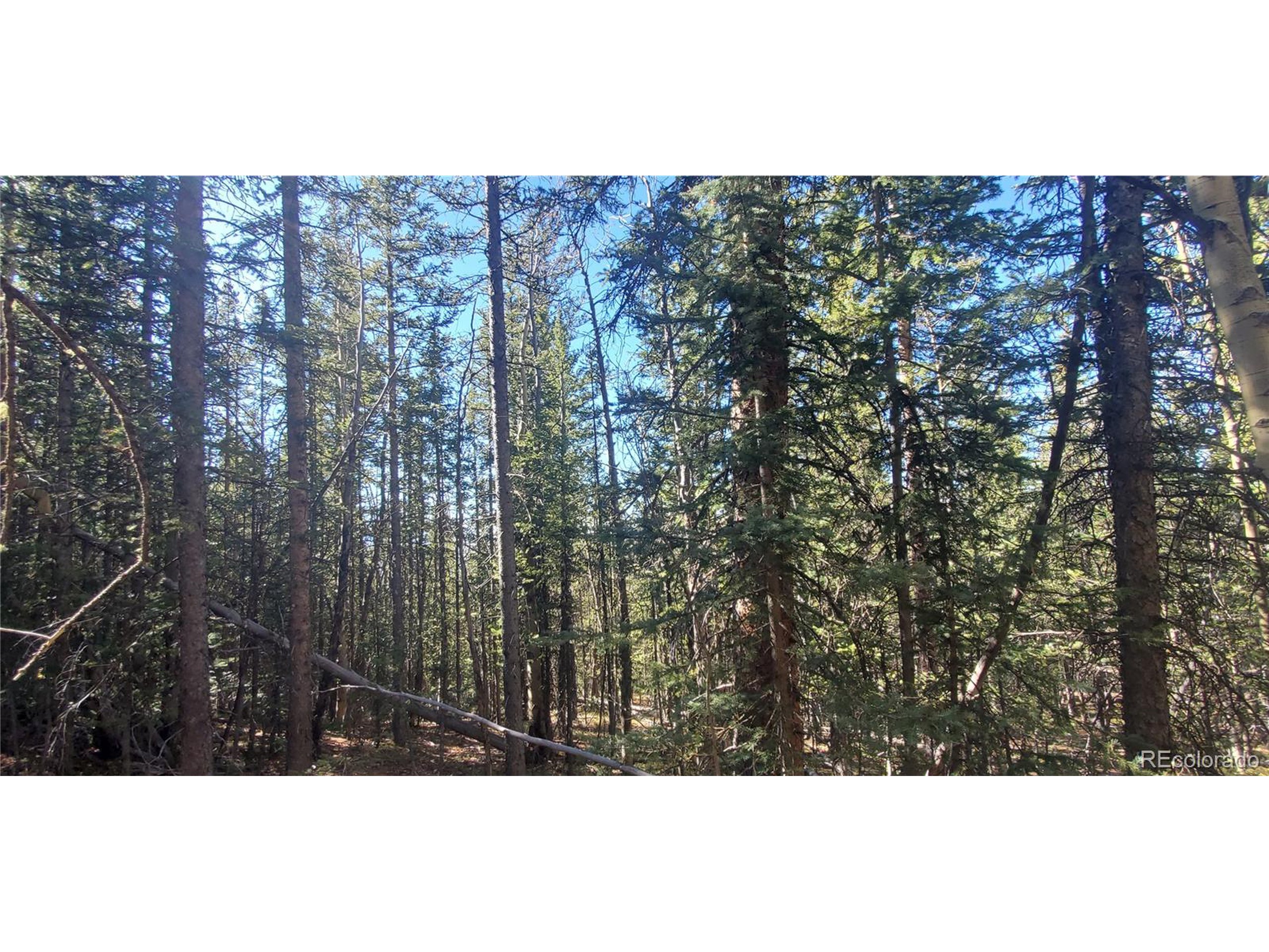 6581 Ackerman Road San Luis, CO 81152 - Photo 6 of 12 a view of city and green space