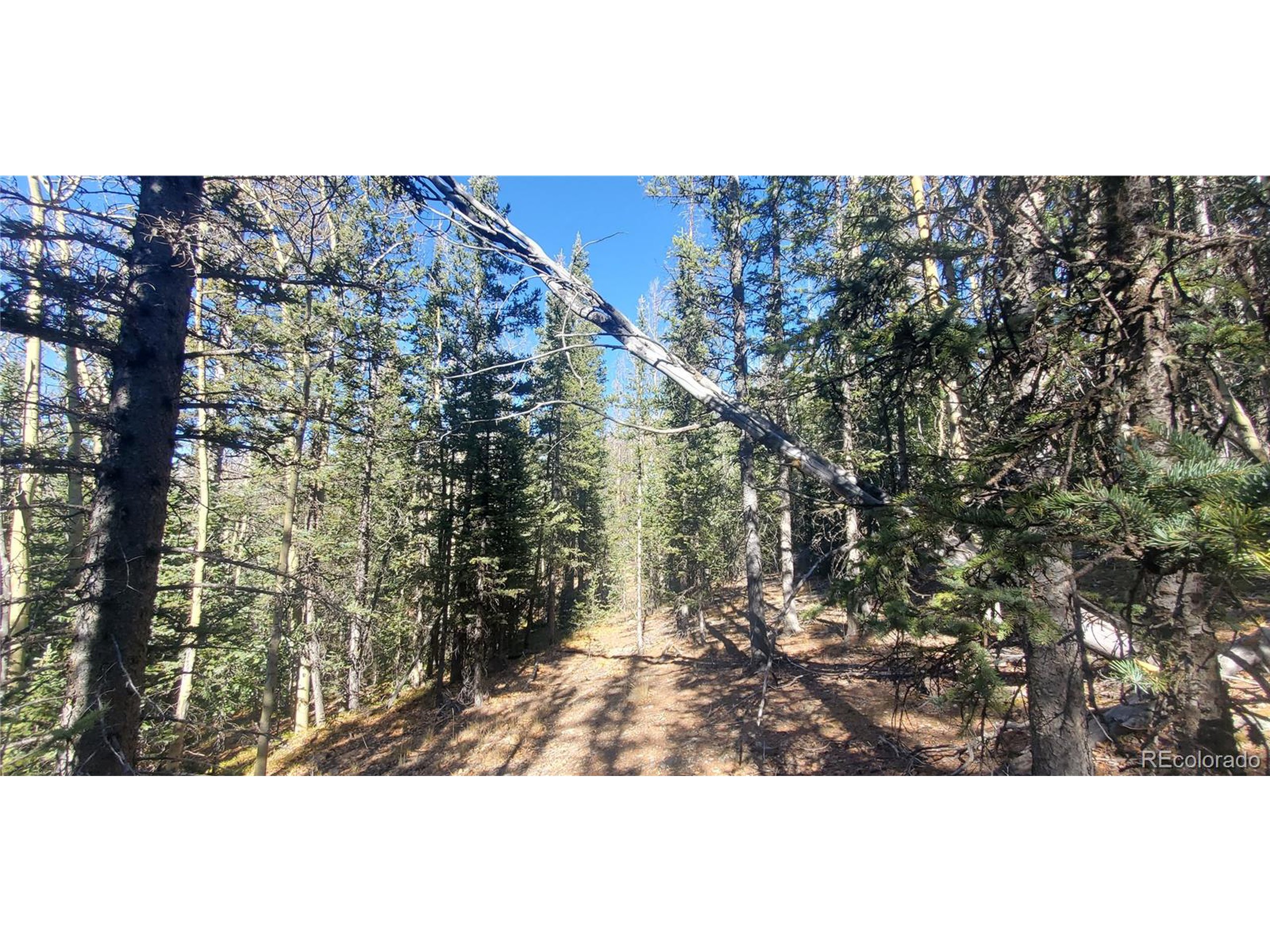 6581 Ackerman Road San Luis, CO 81152 - Photo 7 of 12 a view of outdoor space