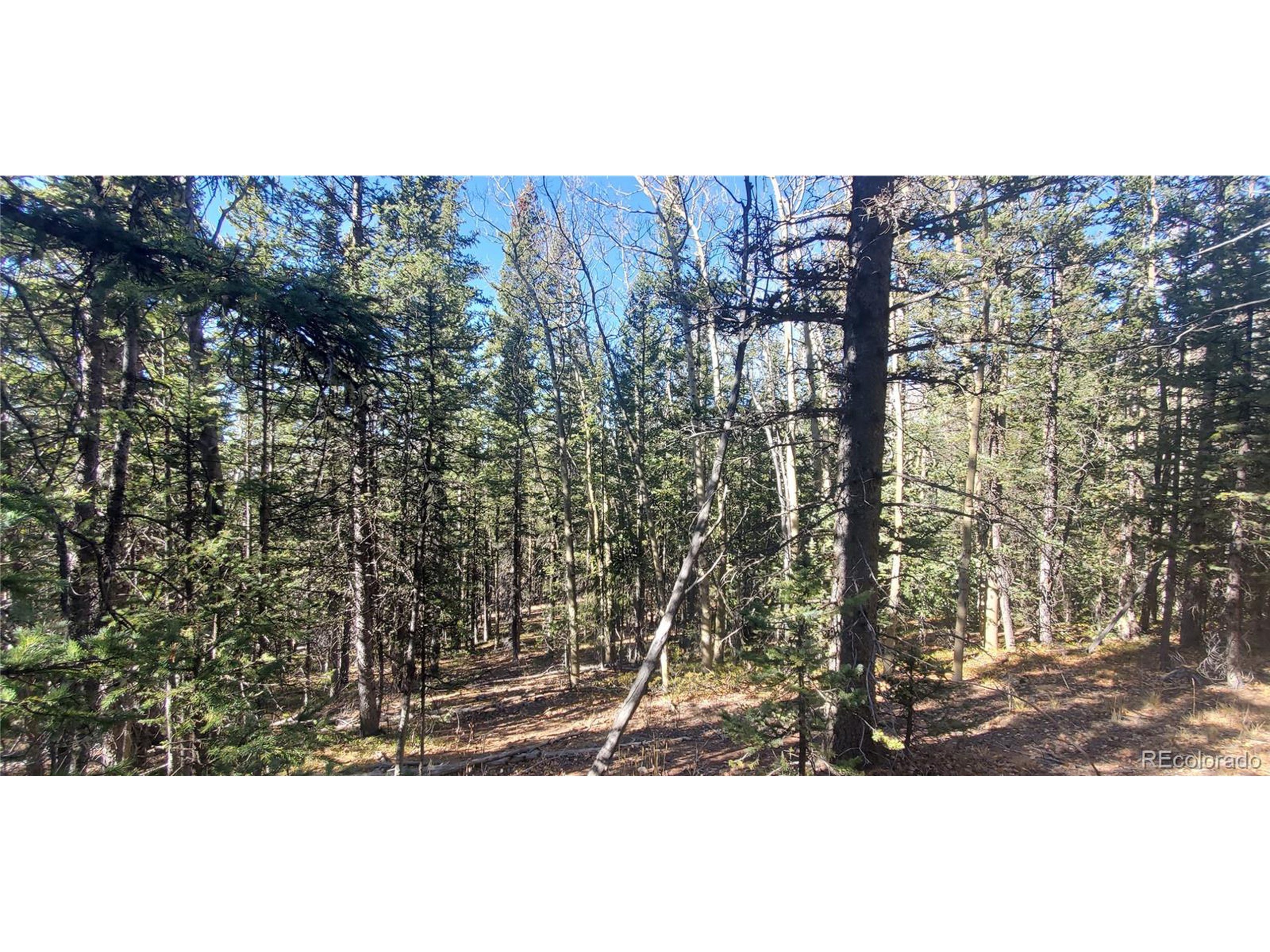 6581 Ackerman Road San Luis, CO 81152 - Photo 8 of 12 a view of outdoor space and city view