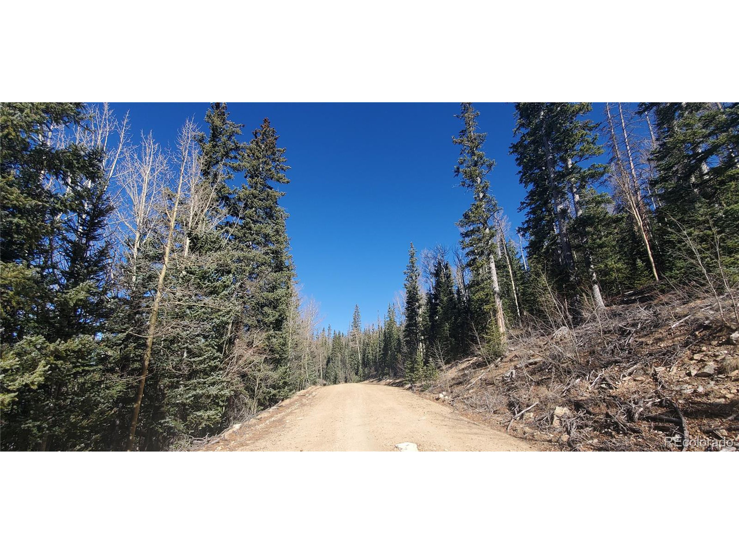 6581 Ackerman Road San Luis, CO 81152 - Photo 10 of 12 a view of a yard with plants and wooden fence