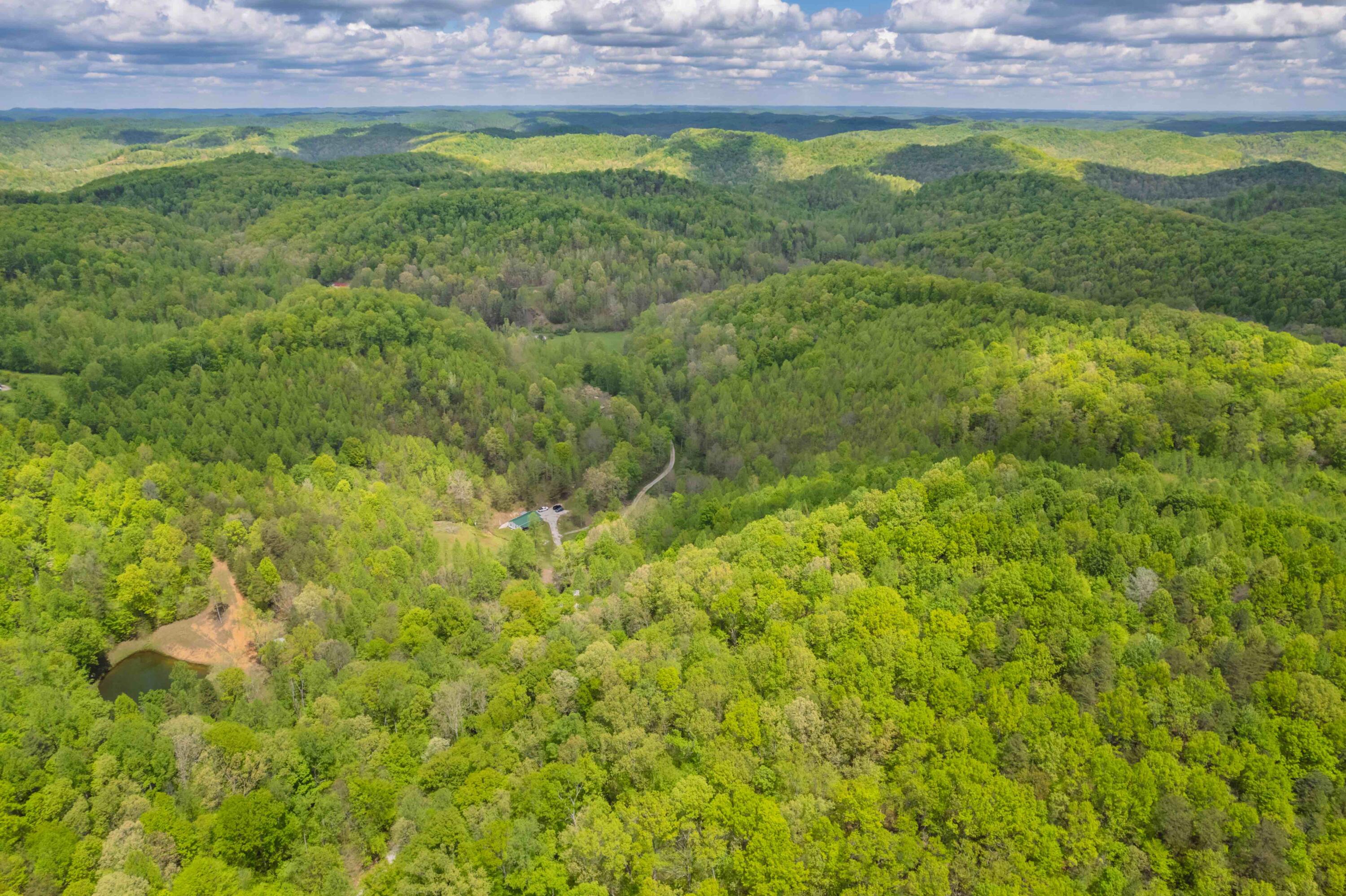 DJI_002459