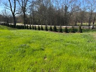 30 River Overlook Way Jefferson, GA 30549 - Photo 64 of 66 a view of yard with grass and trees