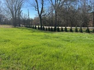 30 River Overlook Way Jefferson, GA 30549 - Photo 65 of 66 a view of a yard