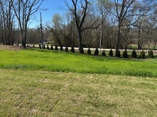 30 River Overlook Way Jefferson, GA 30549 - Photo 66 of 66 a view of park with tree