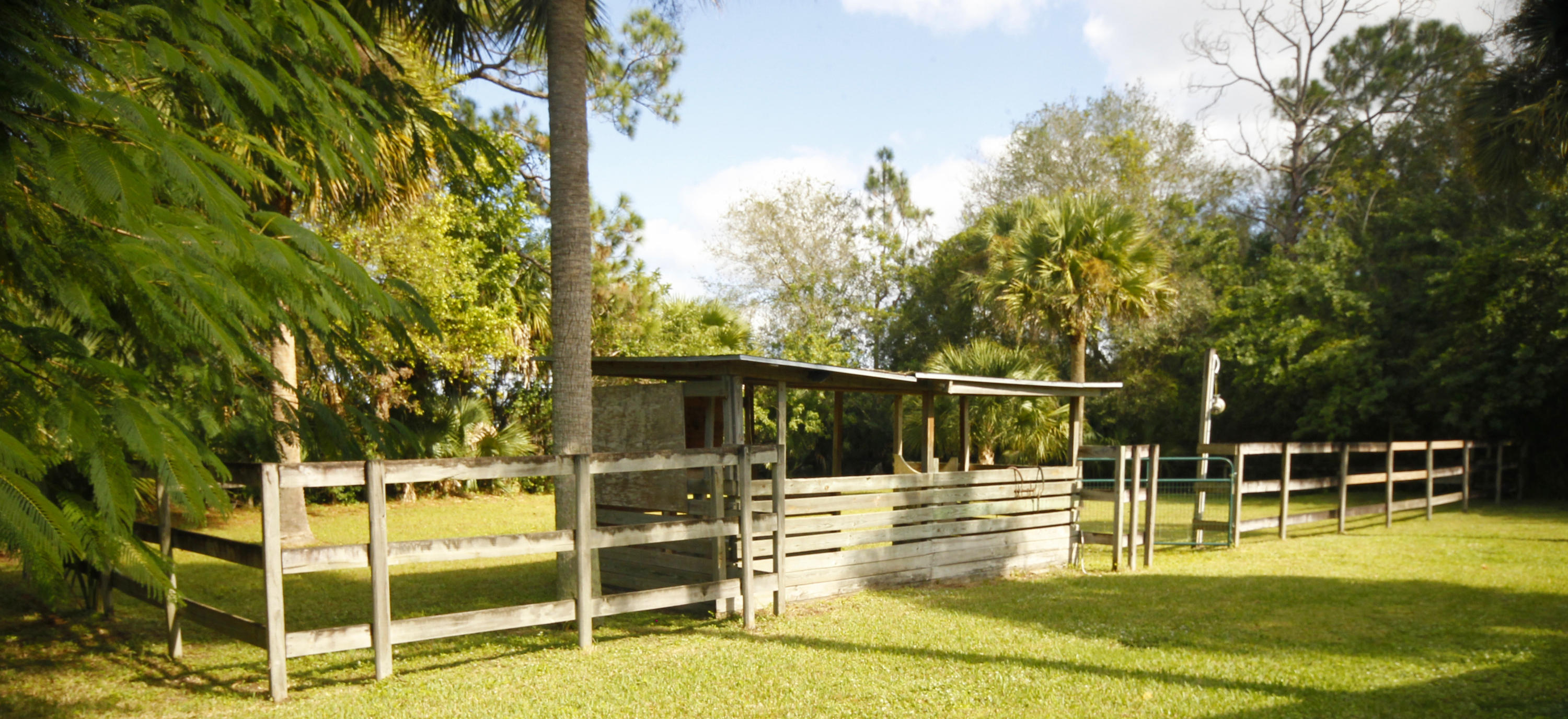 2556 C Road Loxahatchee, FL 33470 - Photo 15 of 27 Paddock with Stall/ Shelter