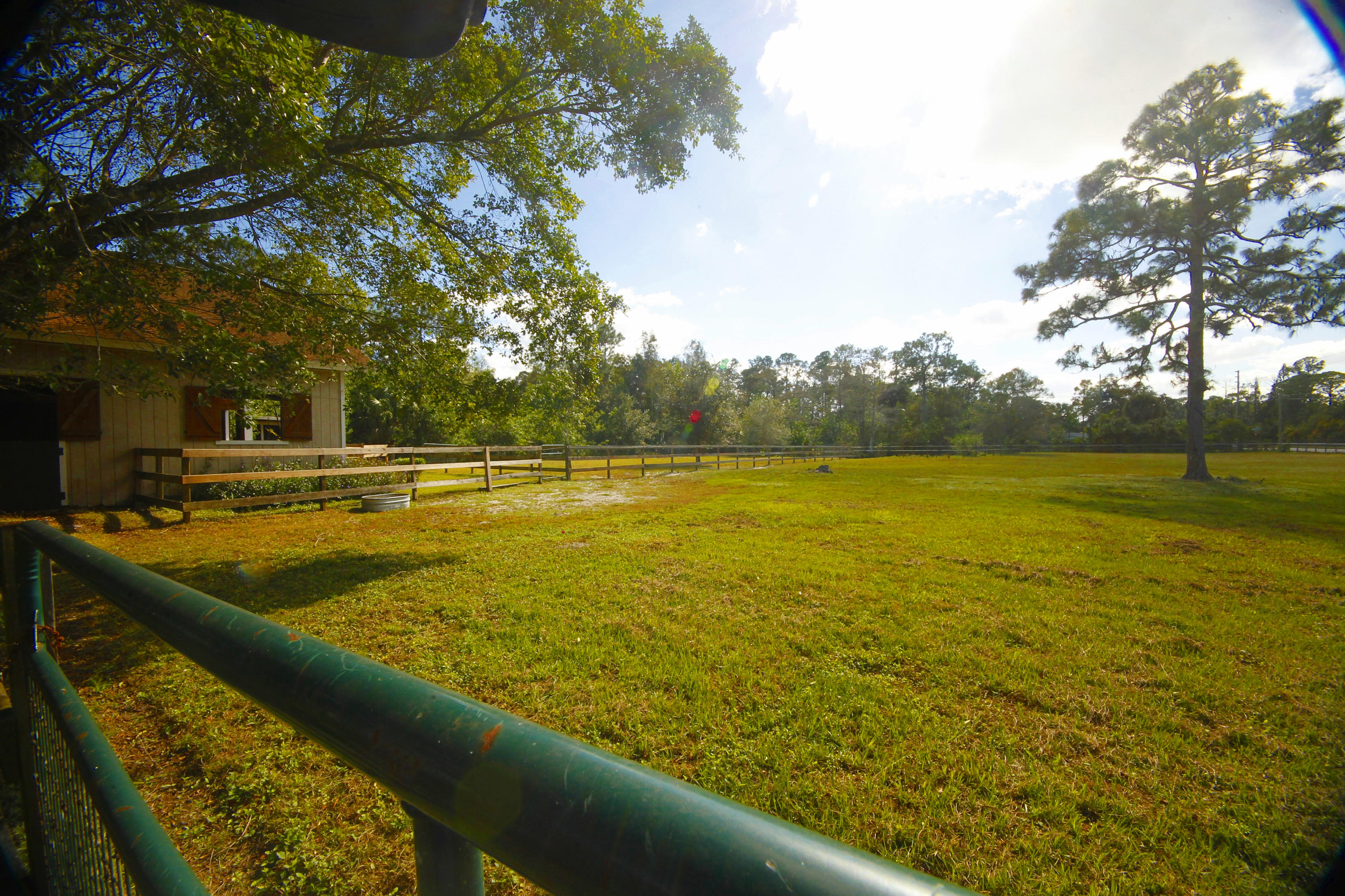 2556 C Road Loxahatchee, FL 33470 - Photo 5 of 27 Grass Field for Riding or Pasture