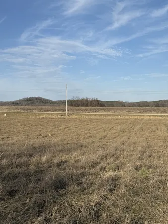 a view of a dry yard