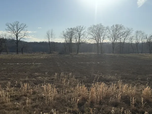 a view of dirt field