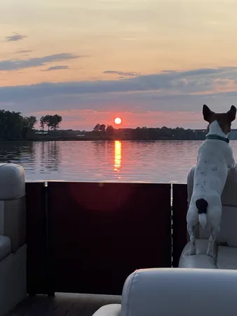 $75,000 | 425 Hardin Btm Road, Clifton, TN 38425