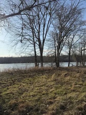 a view of dirt yard with a large tree