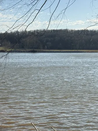 a view of wooden floor