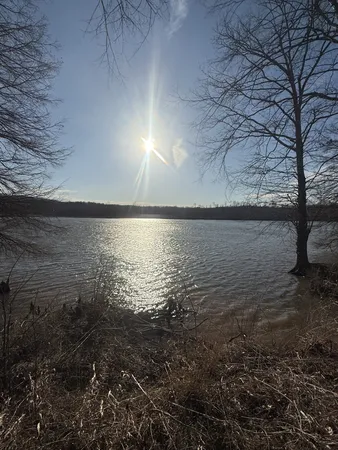 a view of yard with trees