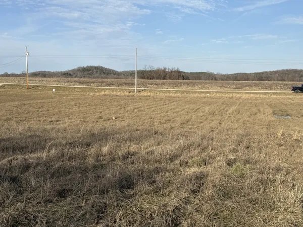 a view of an ocean beach
