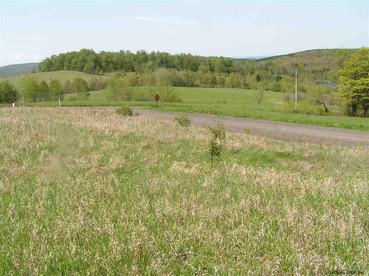 314 Peeters Road Schenevus, NY 12155 - Photo 7 of 10 Photo 7