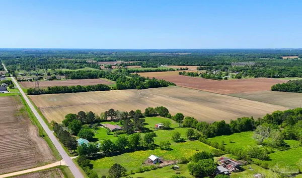 an outdoor view with patio and garden