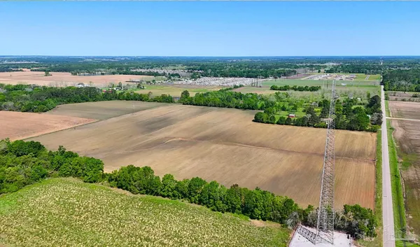 a view of a road with a garden