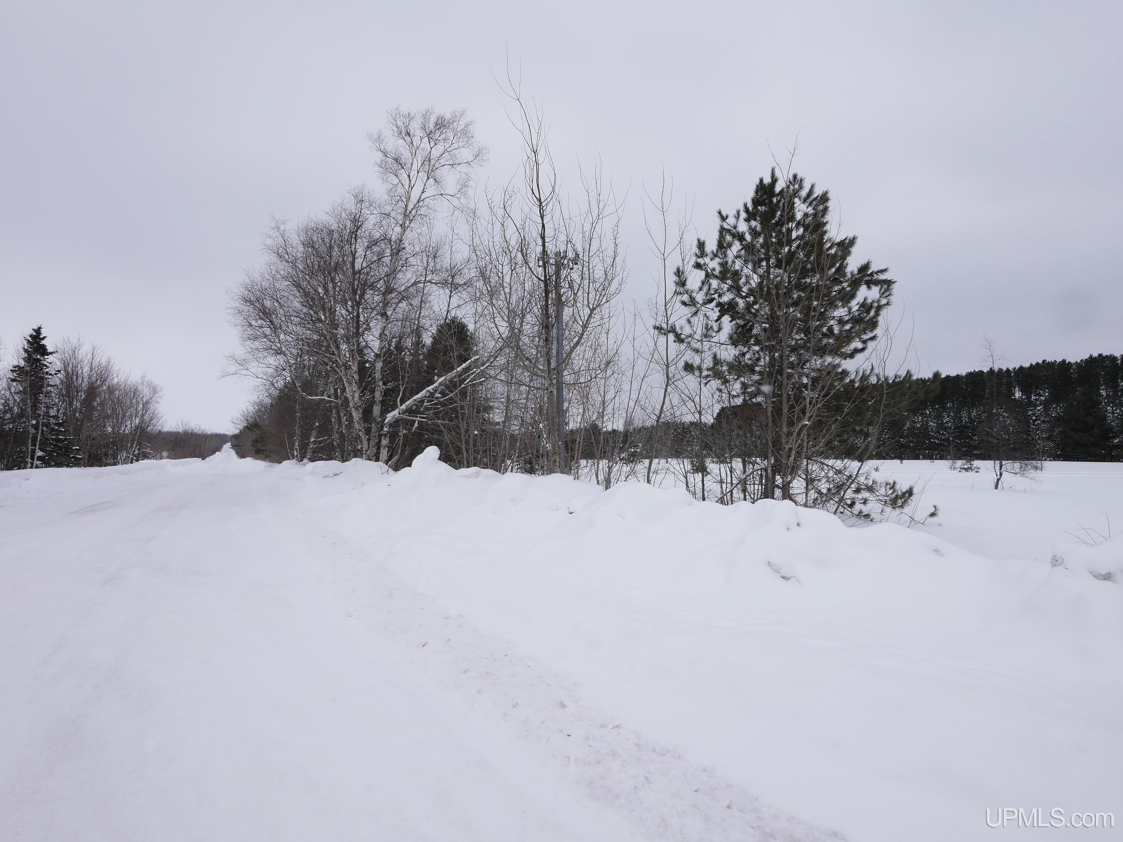 Parcel C Liminga Road Atlantic Mine, MI 49905 - Photo 22 of 28 Gallery Image 22