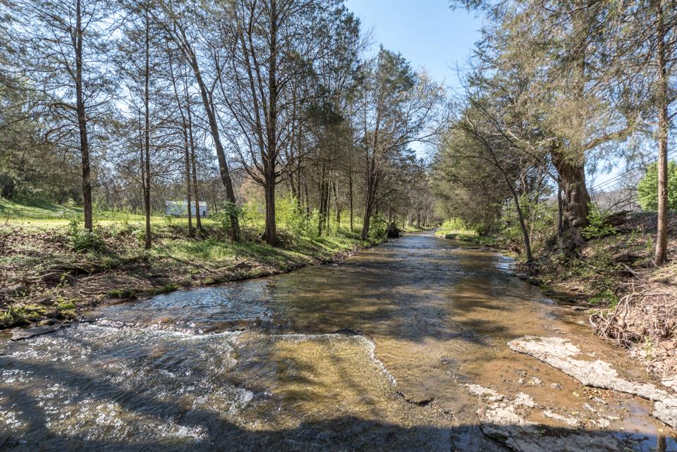 3394 Freeman Hollow Road Goodlettsville, TN 37072 - Photo 17 of 26 Gallery Image 17