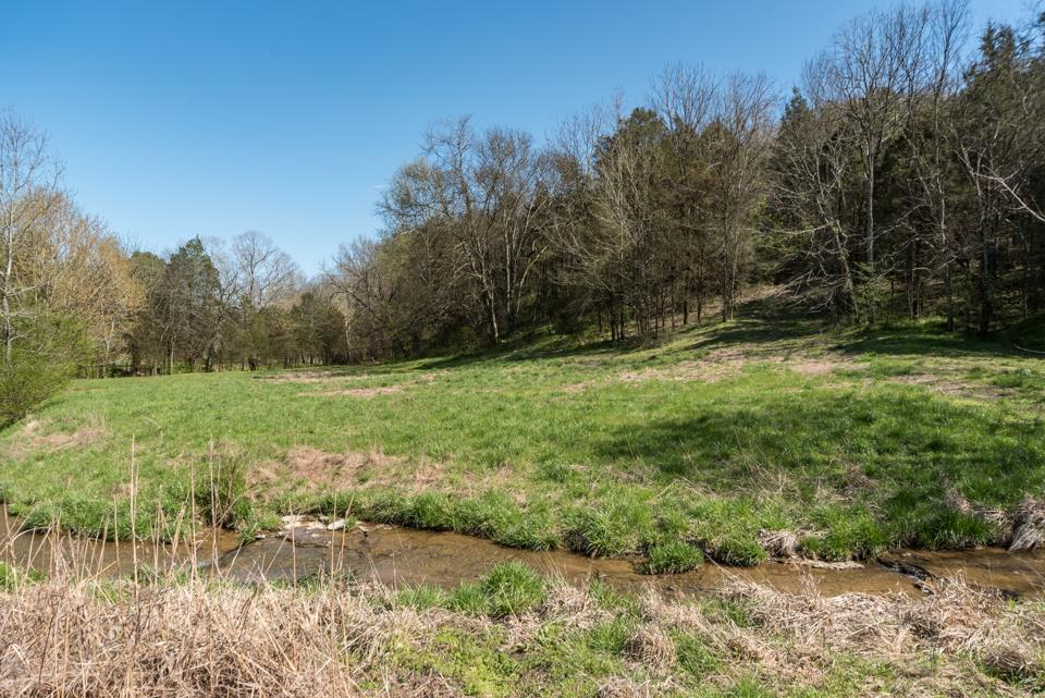 3394 Freeman Hollow Road Goodlettsville, TN 37072 - Photo 8 of 26 Gallery Image 8