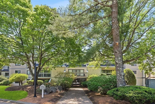 front view of a house with a tree