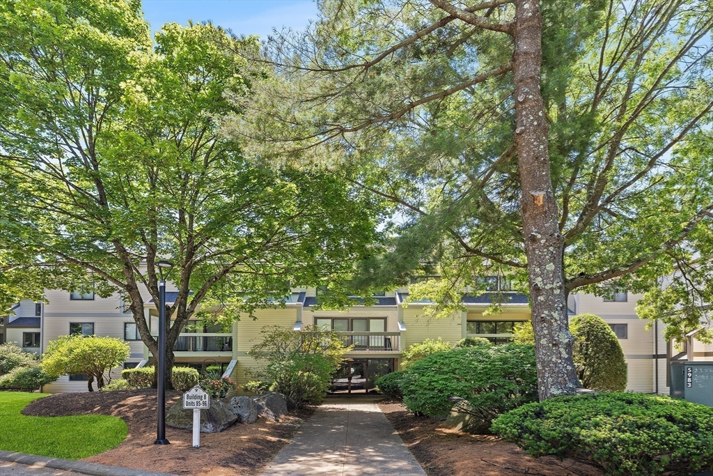 1100 Salem Street, Unit 93 Peabody, MA 01960 - Photo 2 of 27 front view of a house with a tree