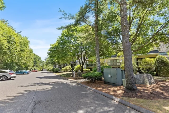 a view of street with parked cars