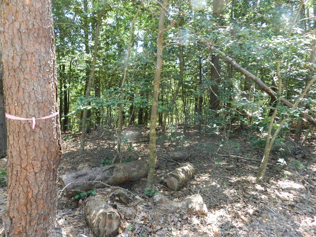 Lot B6 Saltworks Road, Unit B6 Exmore, VA 23350 - Photo 23 of 28