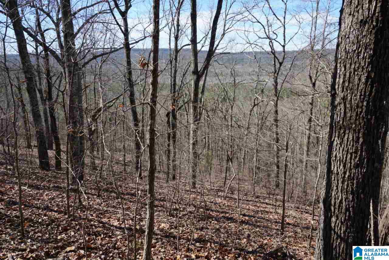 Mystic Valley View, Unit 1 Sterrett, AL 35147 - Photo 15 of 33