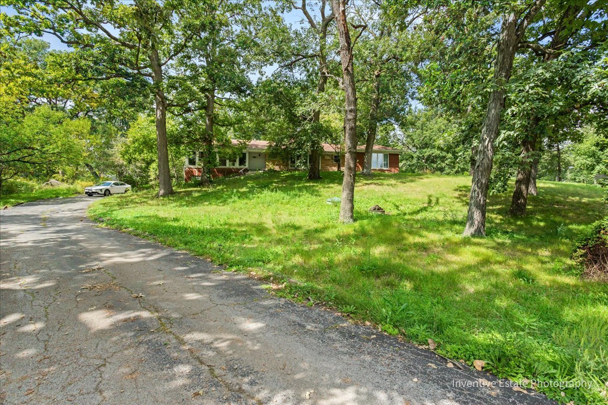 23000 Sherman Road Steger, IL 60475 - Photo 2 of 9 a view of a yard with a trees