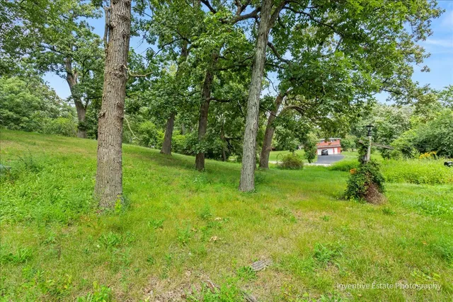 a view of an trees with a yard