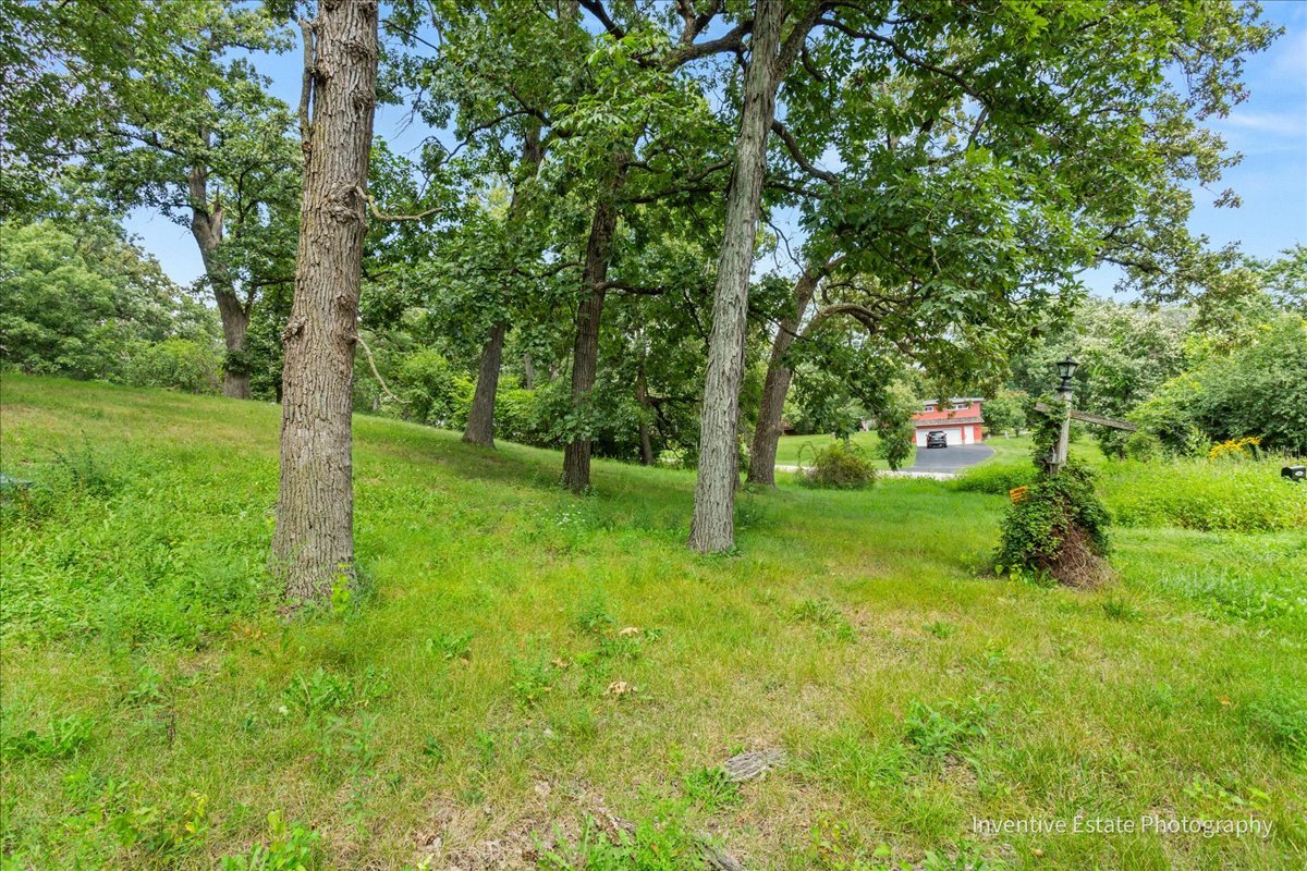 23000 Sherman Road Steger, IL 60475 - Photo 3 of 9 a view of an trees with a yard
