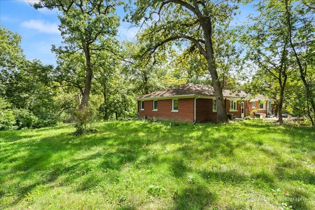 a view of a big yard with plants and large trees