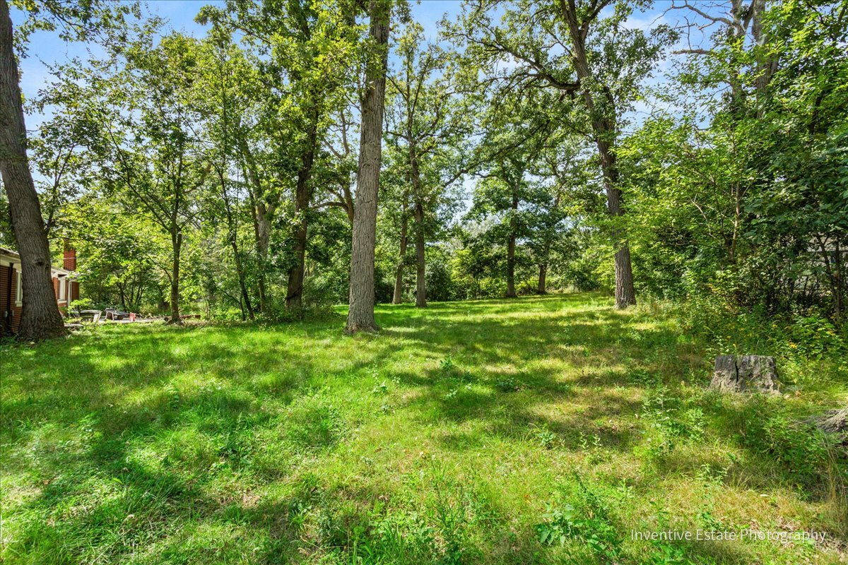 23000 Sherman Road Steger, IL 60475 - Photo 6 of 9 a view of outdoor space with deck and yard