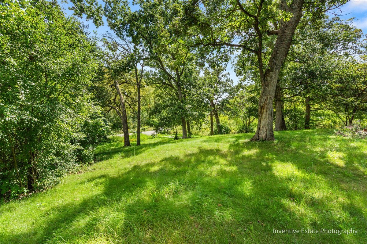 23000 Sherman Road Steger, IL 60475 - Photo 7 of 9 a view of park with trees