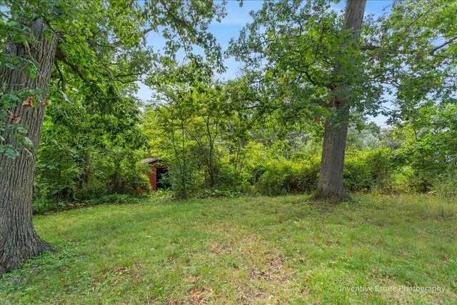 a view of outdoor space with trees all around