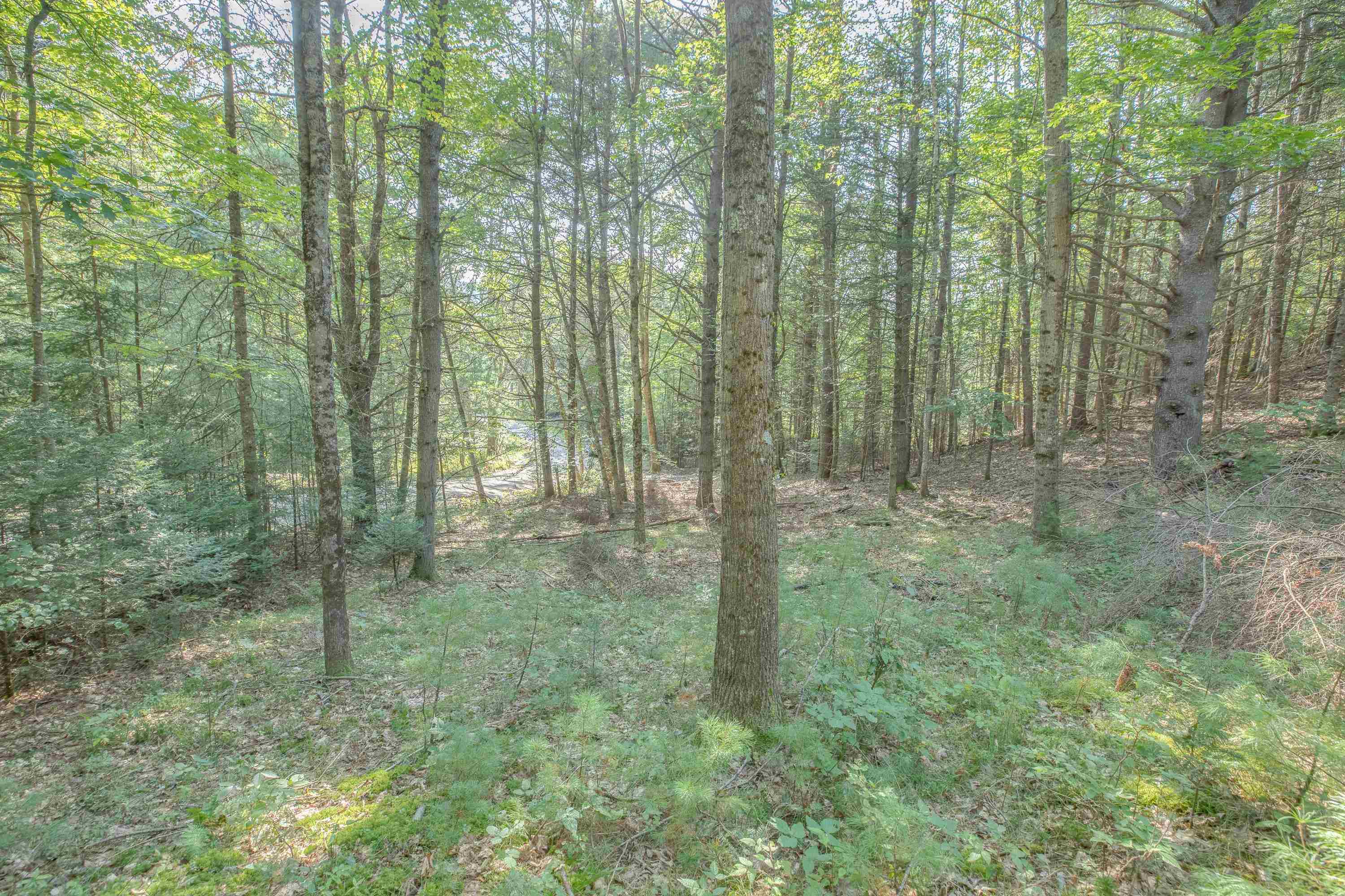 0 Glebe Road, Unit LOT 35 Lyman, NH 03585 - Photo 8 of 12